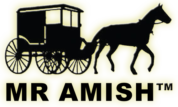 MR. AMISH