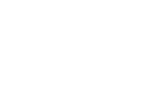 MR. AMISH