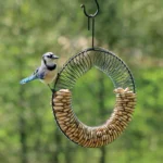 Wreath Peanut Feeders