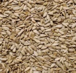 Coarse Sunflower Chips 50lb Bulk Bag / EMAIL FOR PRICING