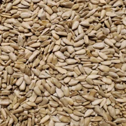 Coarse Sunflower Chips 50lb Bulk Bag / EMAIL FOR PRICING