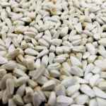 Safflower 50lb Bulk Bag