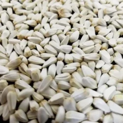 Safflower 50lb Bulk Bag / EMAIL FOR PRICING