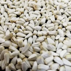 Safflower 50lb Bulk Bag / EMAIL FOR PRICING