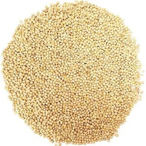 White Millet 50lb Bulk Bag / EMAIL FOR PRICING