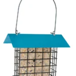 Sheltered Suet Cake Feeders