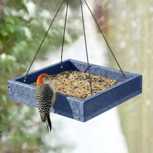 Platform Bird Feeder