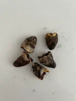 Dehydrated Chicken Hearts