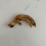 Dehydrated Chicken Feet